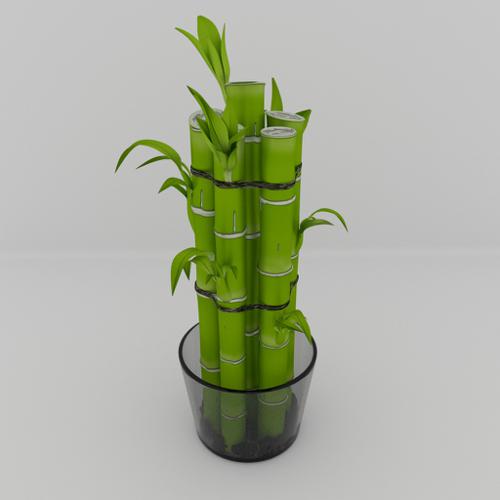 Lucky Bamboo preview image